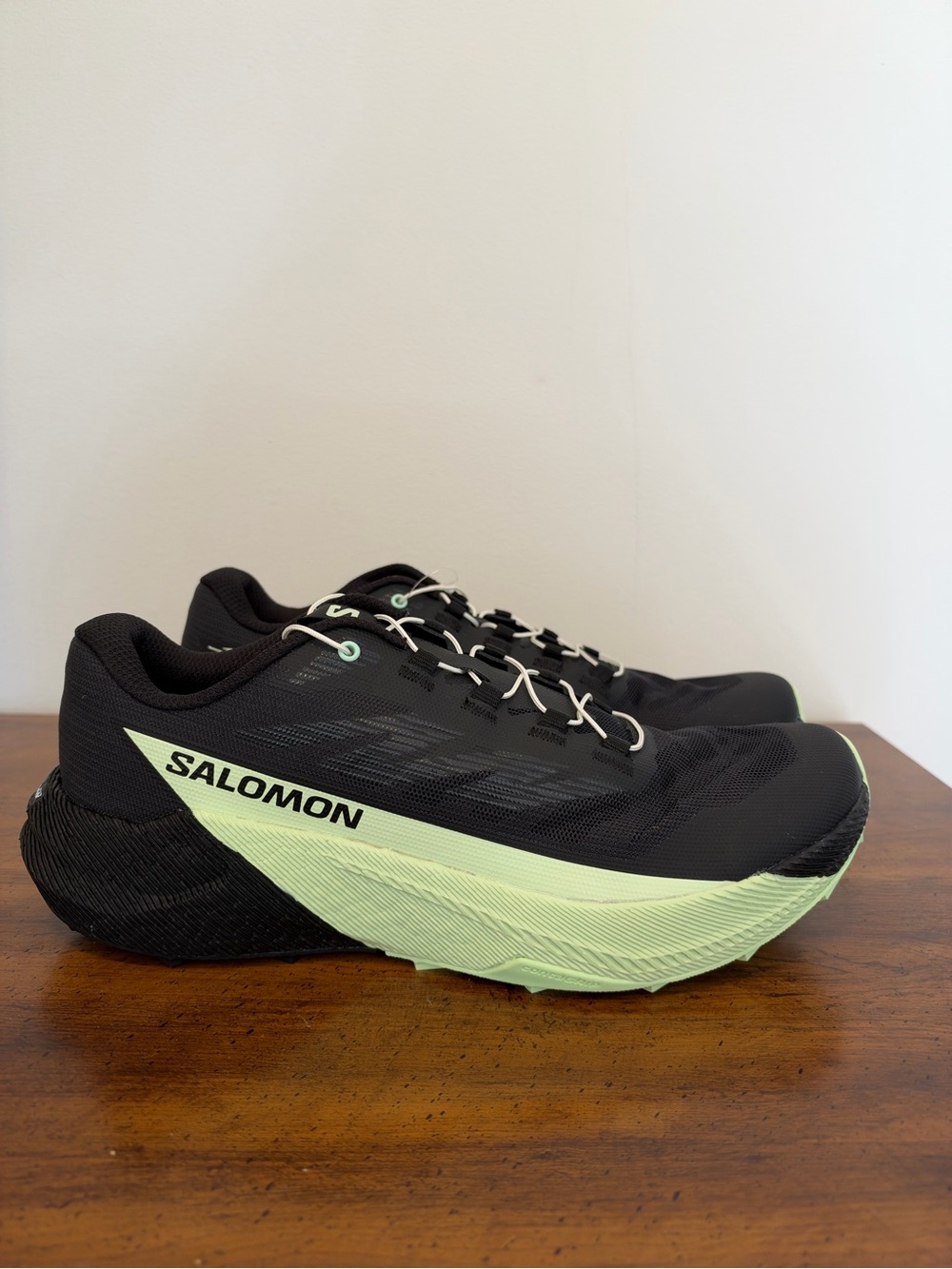 Salomon Men’s Pulsar